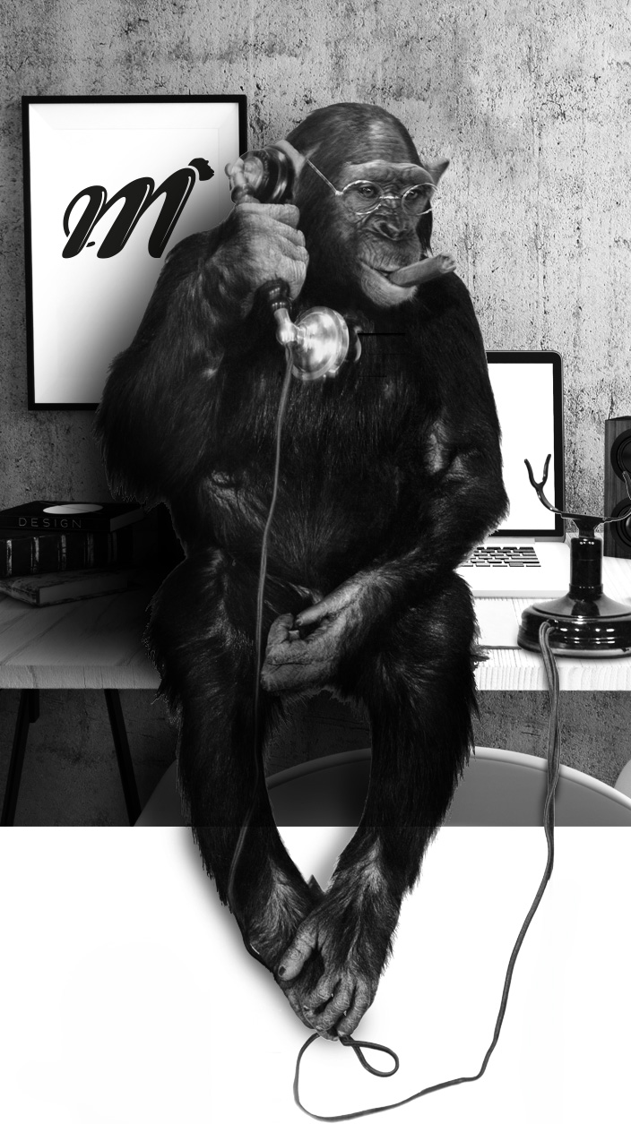 singe-telephone-monkey-medias-communication